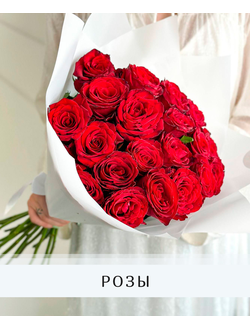 Розы