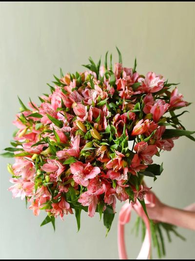Букет из 25 розовых альстромерий