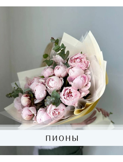 Пионы