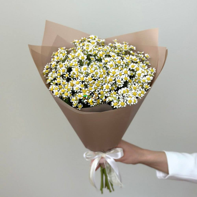 Букет из 9 кустовых ромашек
