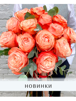 Новинки и сезонные цветы