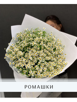 Ромашки