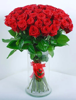 51 красная роза "Red"