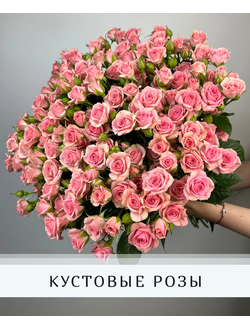 Кустовые и пионовидные розы