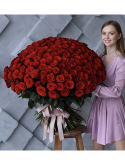 201 красная роза Голландия 80 см
