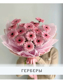 Герберы
