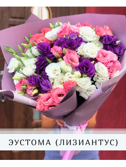 Эустома (лизиантус)